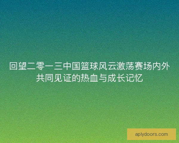 回望二零一三中国篮球风云激荡赛场内外共同见证的热血与成长记忆