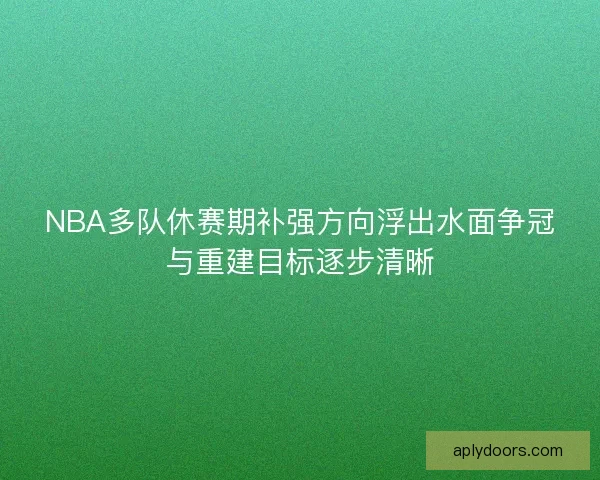 NBA多队休赛期补强方向浮出水面争冠与重建目标逐步清晰 NBA多队休赛期补强方向浮出水面争冠与重建目标逐步清晰