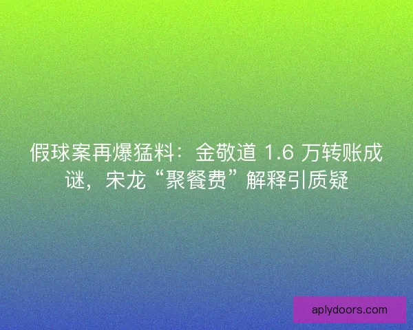 假球案再爆猛料：金敬道 1.6 万转账成谜，宋龙 “聚餐费” 解释引质疑